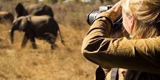 5-day tanzania budget safari tour 